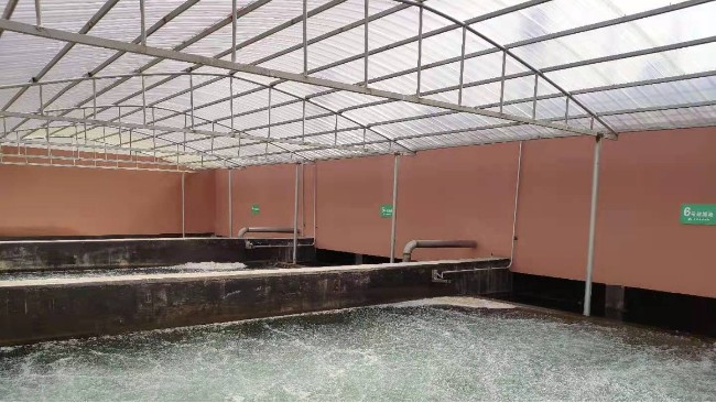 博取COD、氨氮及總磷分析儀應(yīng)用于江西農(nóng)村污水廠(chǎng)水質(zhì)的監(jiān)測(cè)